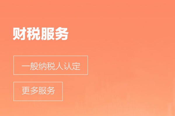 财税服务